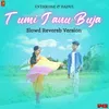 About Tumi Janu Buja (Slowed Reverb) Song